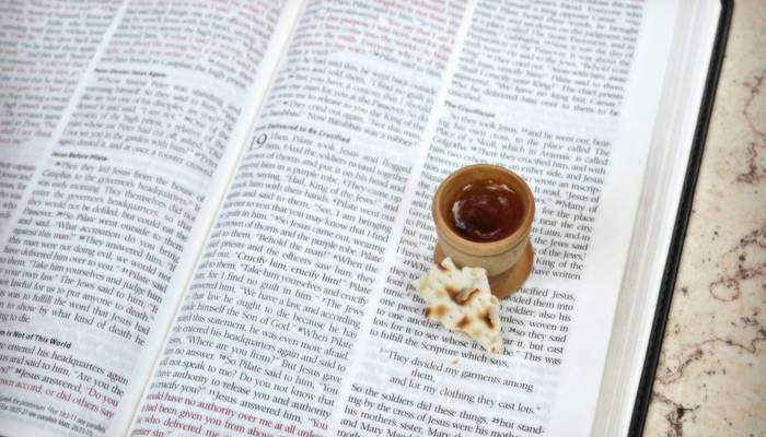 大嶺山鎮(zhèn)電工培訓(xùn) 大嶺山鎮(zhèn)電工培訓(xùn)