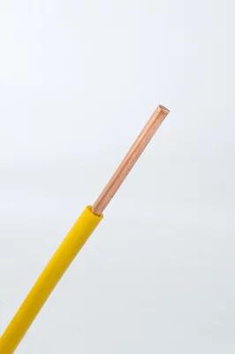 電工證要怎么考——家庭裝修為什么使用單芯線比較多